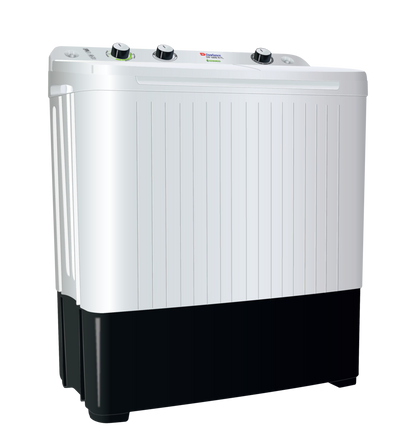 DW 10600 W FL Twin Tub Washing Machine