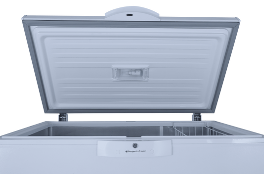 400 Inverter Single Door Freezer