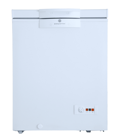 300P W Single Door Freezer