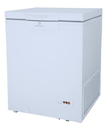 300P W Single Door Freezer
